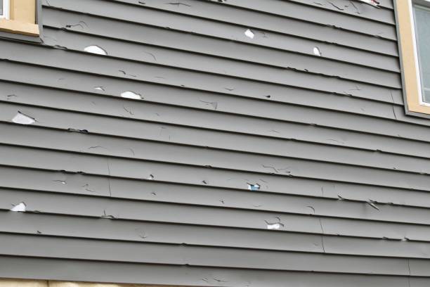 Best Recycling Services for Junk  in Kirksville, MO